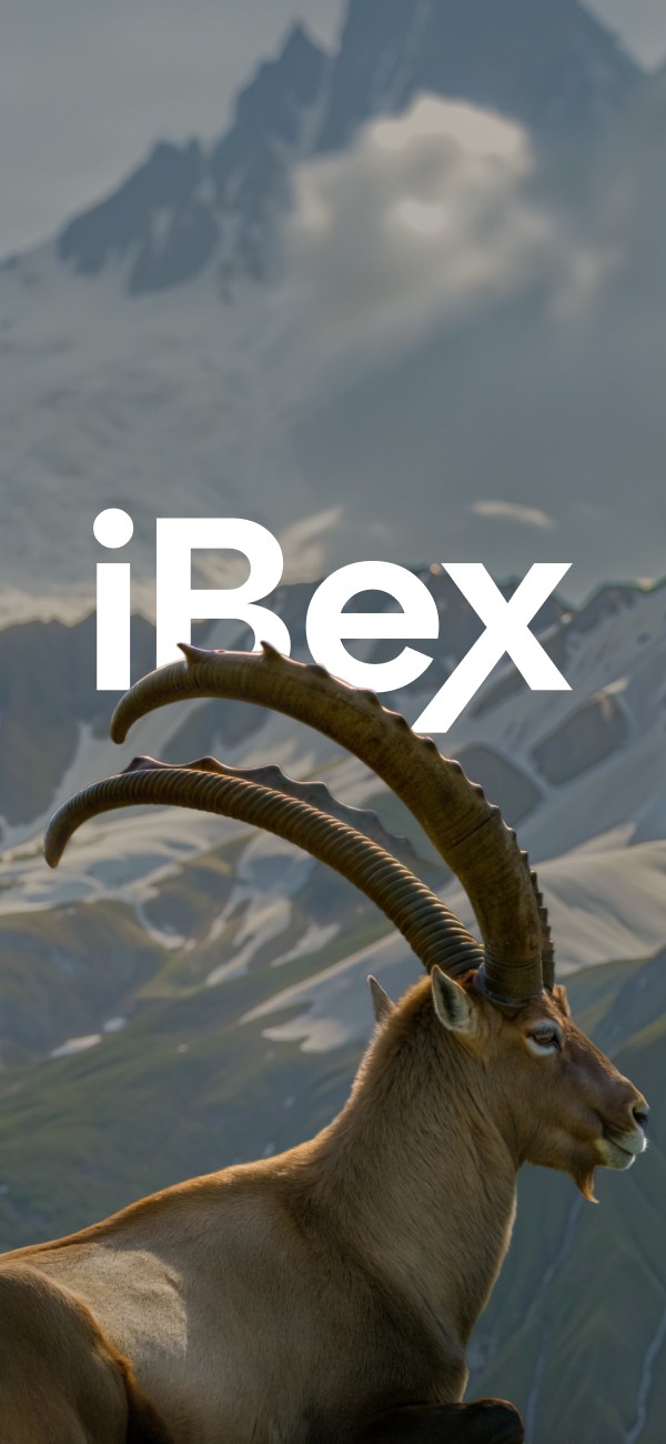 picture of the ibex goat in the cenrre , mountains view on the. background