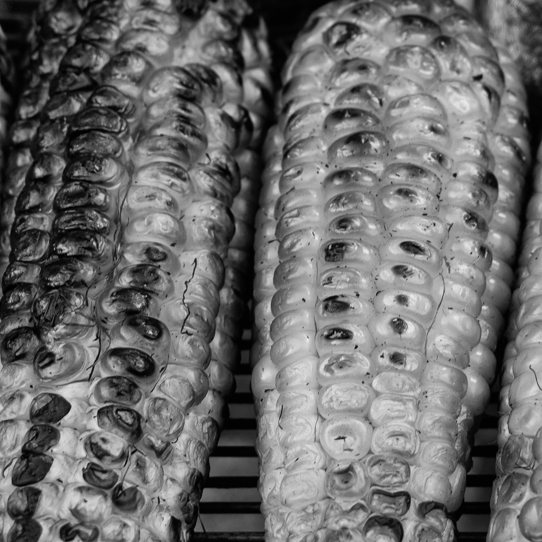 Black and white close-up of grilled corn on the cob (elotes) roasting over a street grill, showing charred kernels and smoky texture.