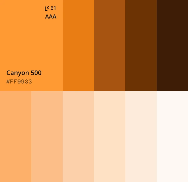 The Canyon orange color scale, from Canyon 500 (#FF9933) to its lighter and darker steps