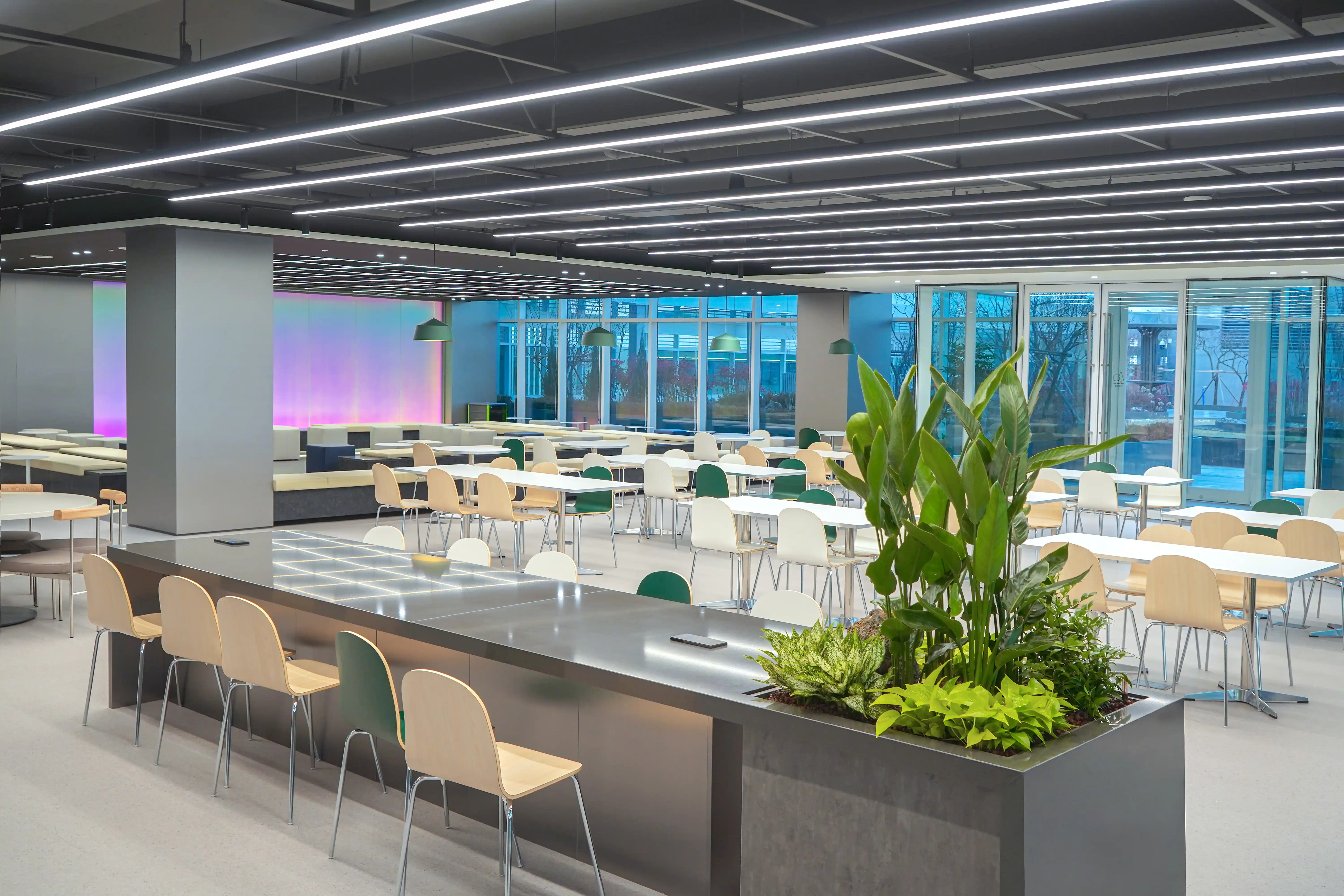 에코피플이 KT 라운지에 조성한 실내정원 디자인