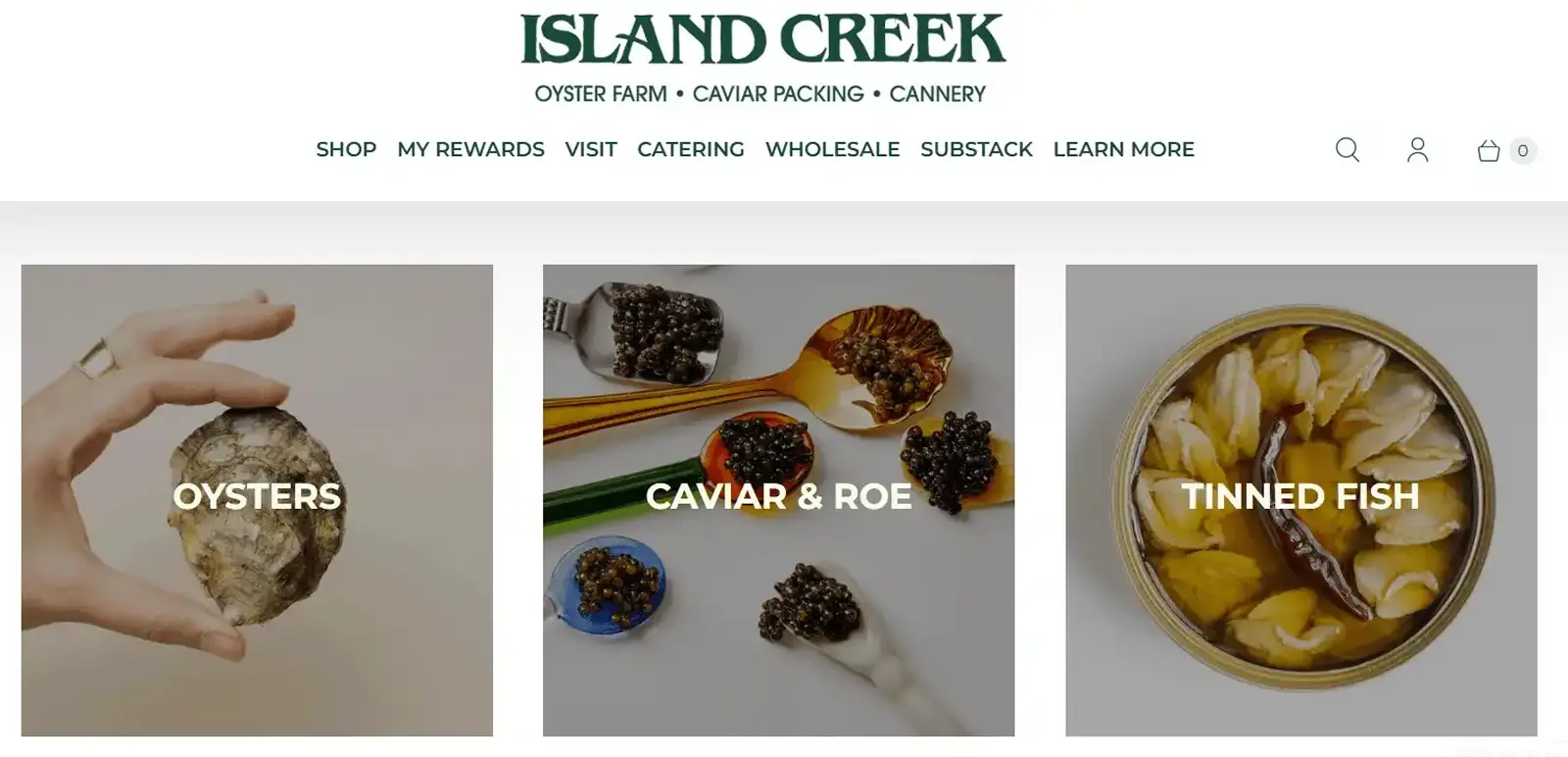 Shopify Collections Image