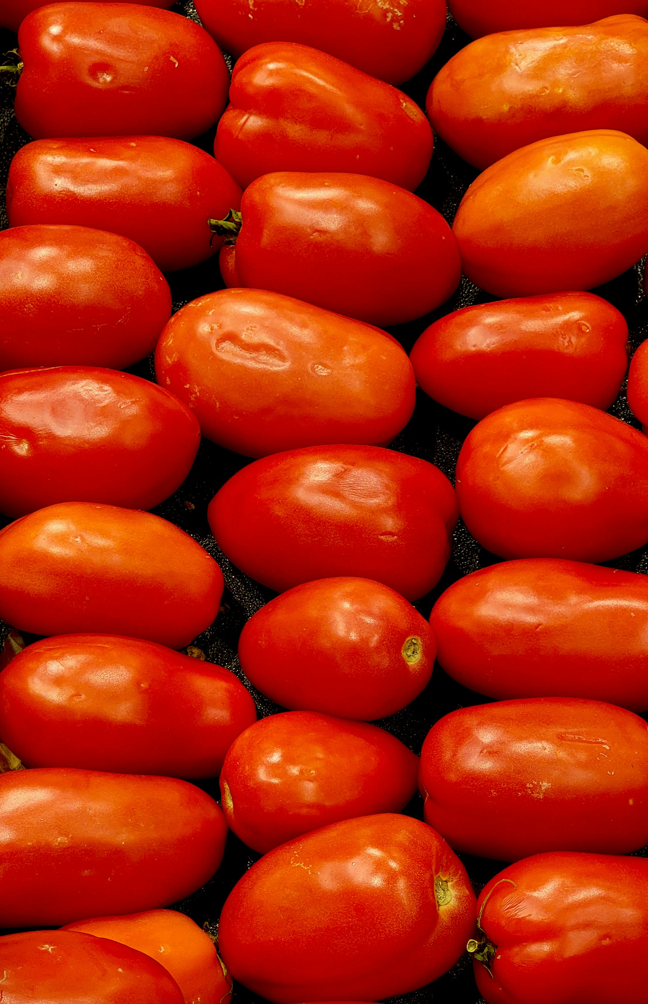 a large pile of red tomatoes with green stems