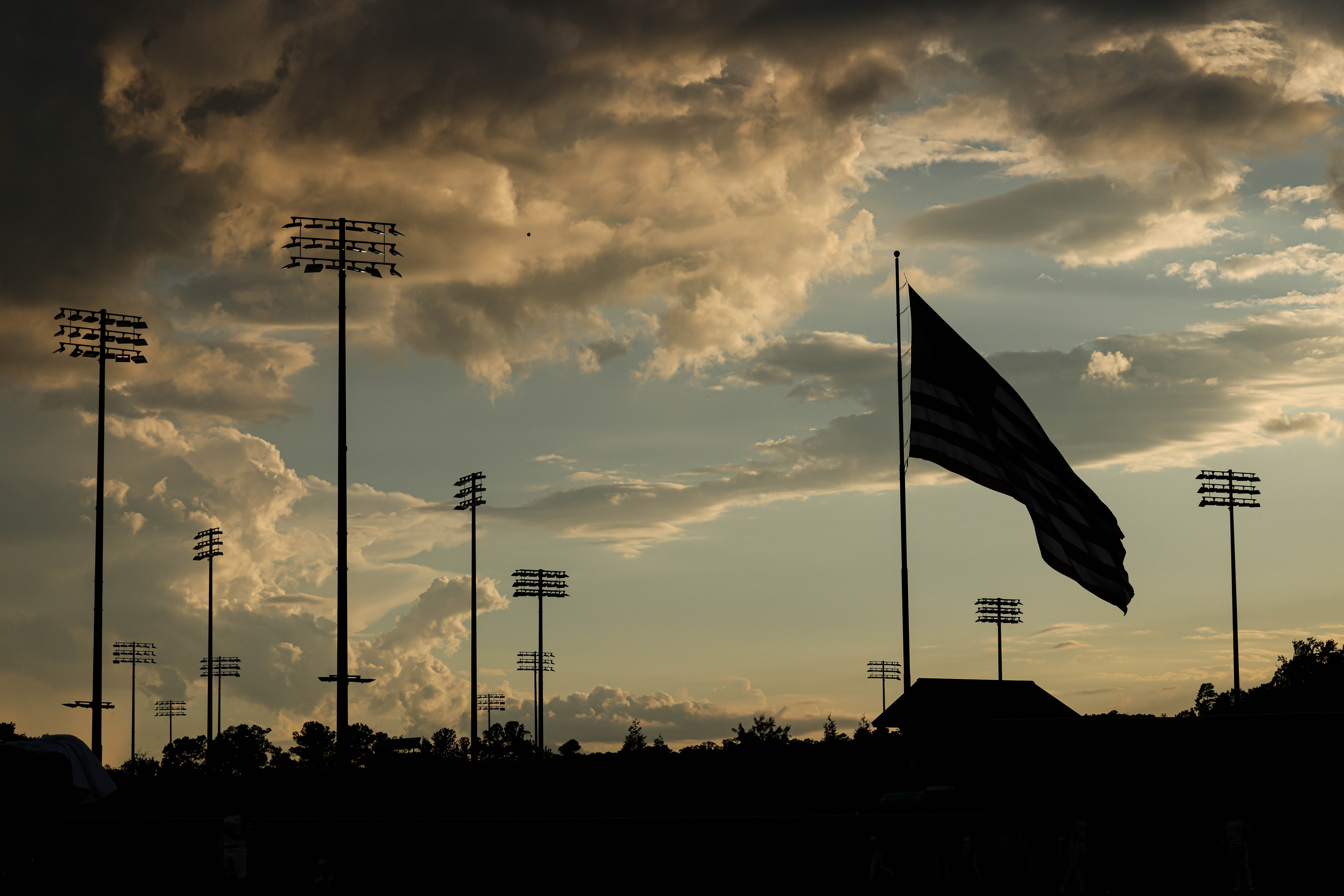 Capacity Sports Group Flywheel