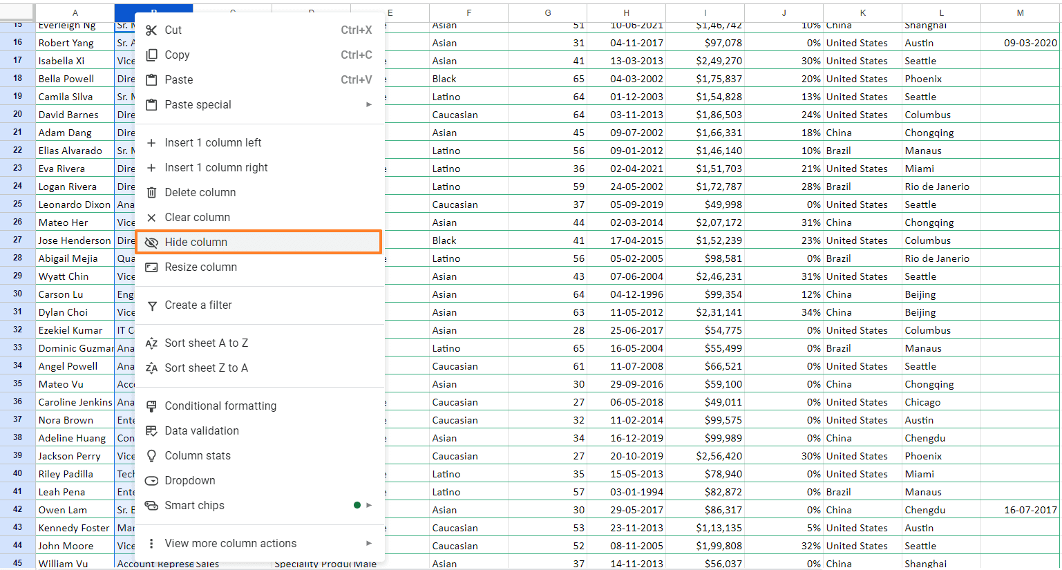 Hide Rows/Columns (Optional)