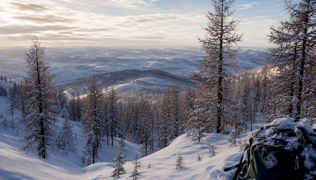 Snow-covered larch forest and mountain ridges in the Altai Mountains