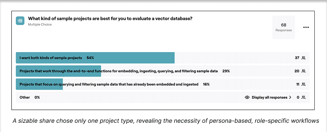 Two developer personas defined through interviews, surveys, and analytics: Data Builders and Analysts