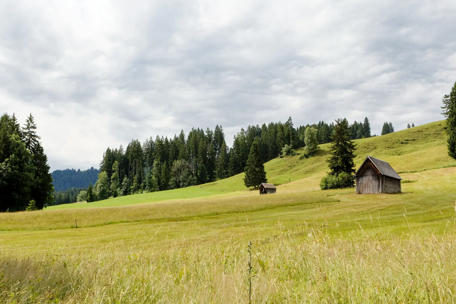 Grasbewachsenes Feld mit zwei Holzscheunen vor sanften Hügeln unter bewölktem Himmel.