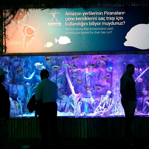 维亚海洋水族馆