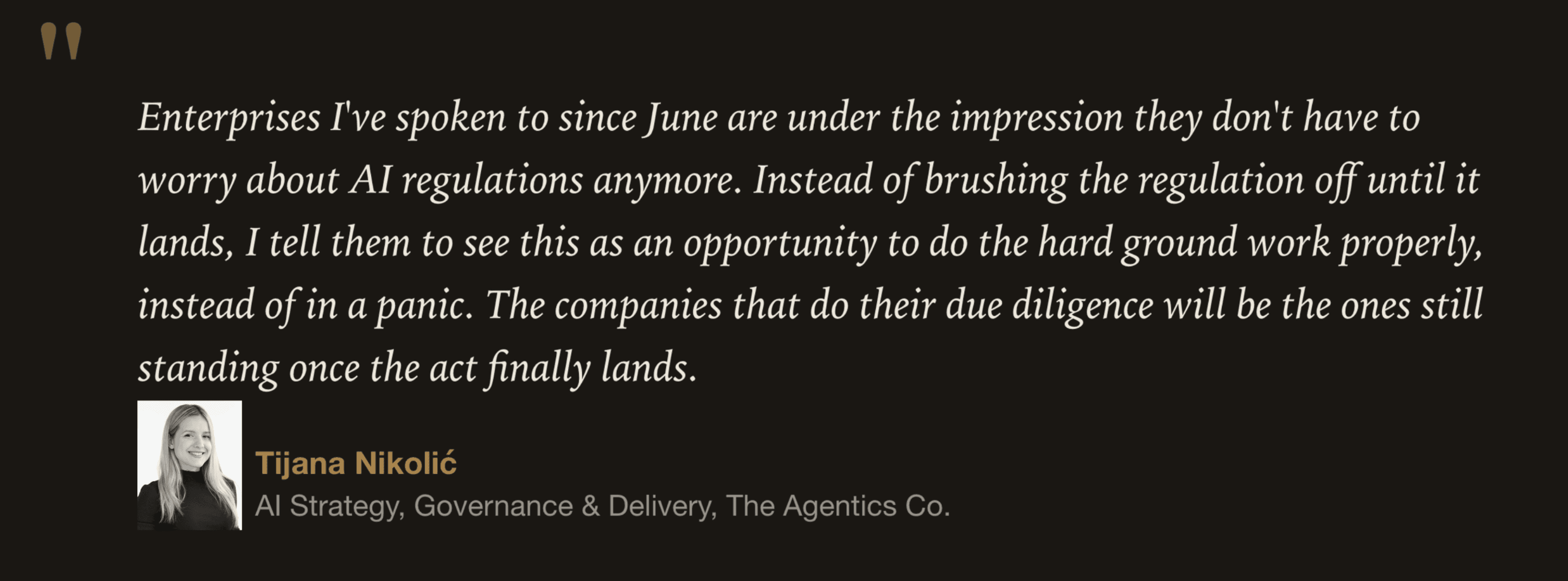 Tijana Nikolic, AI Strategy, The Agentics Co.