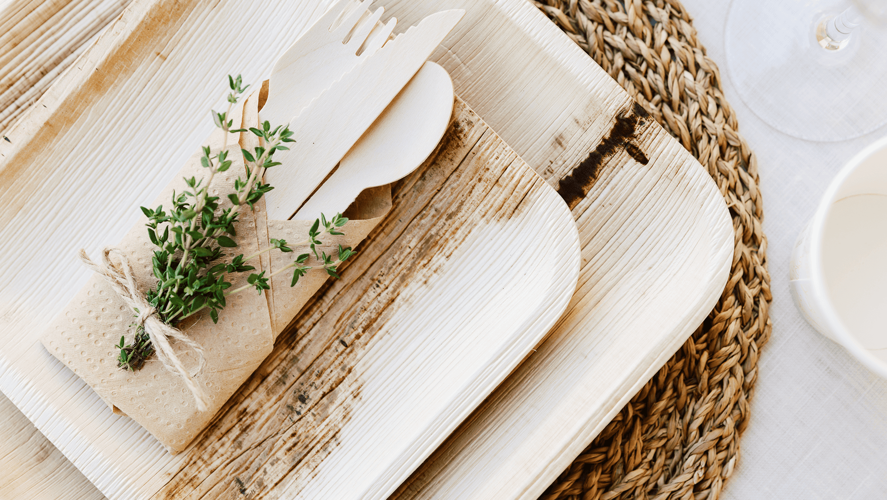 Organic Palm Leaf Plate