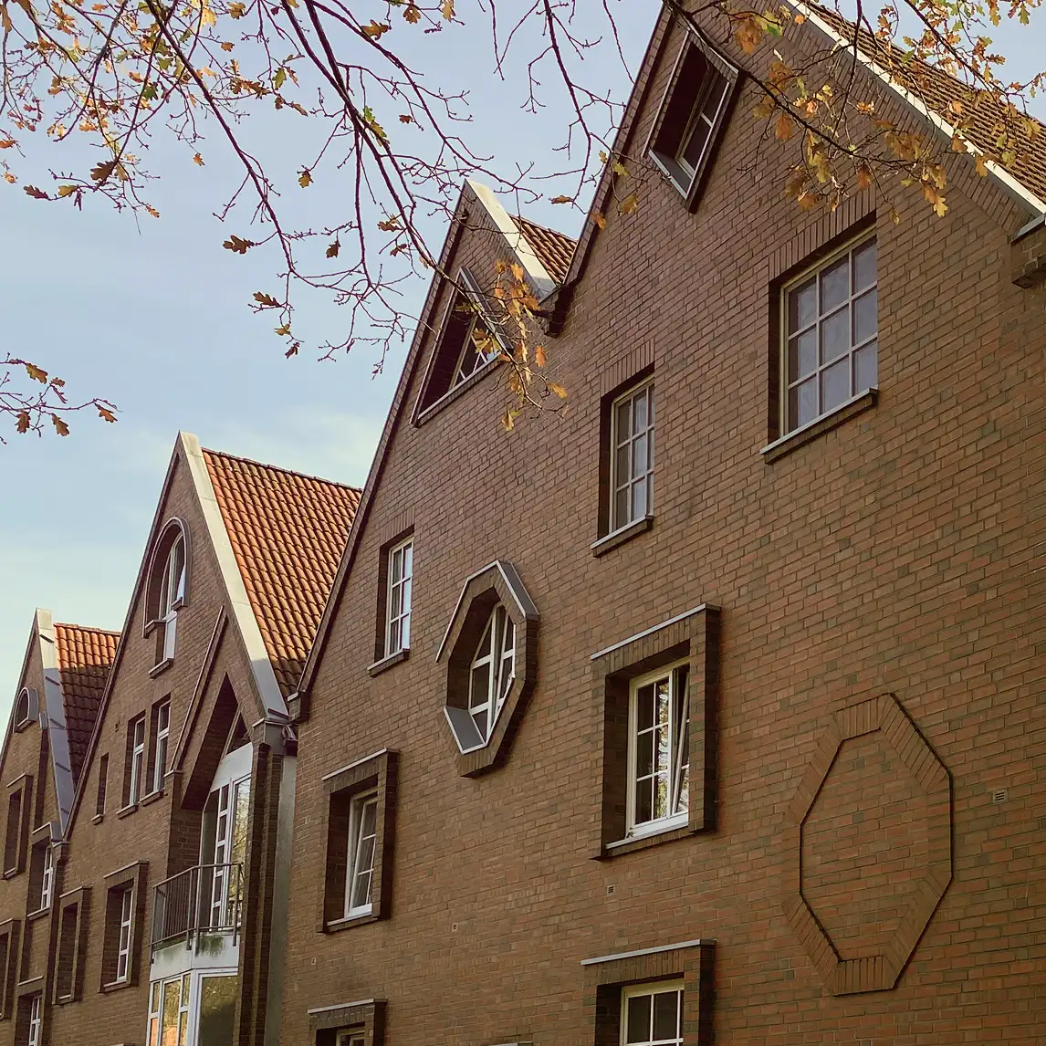 Bild von Wildeshausen