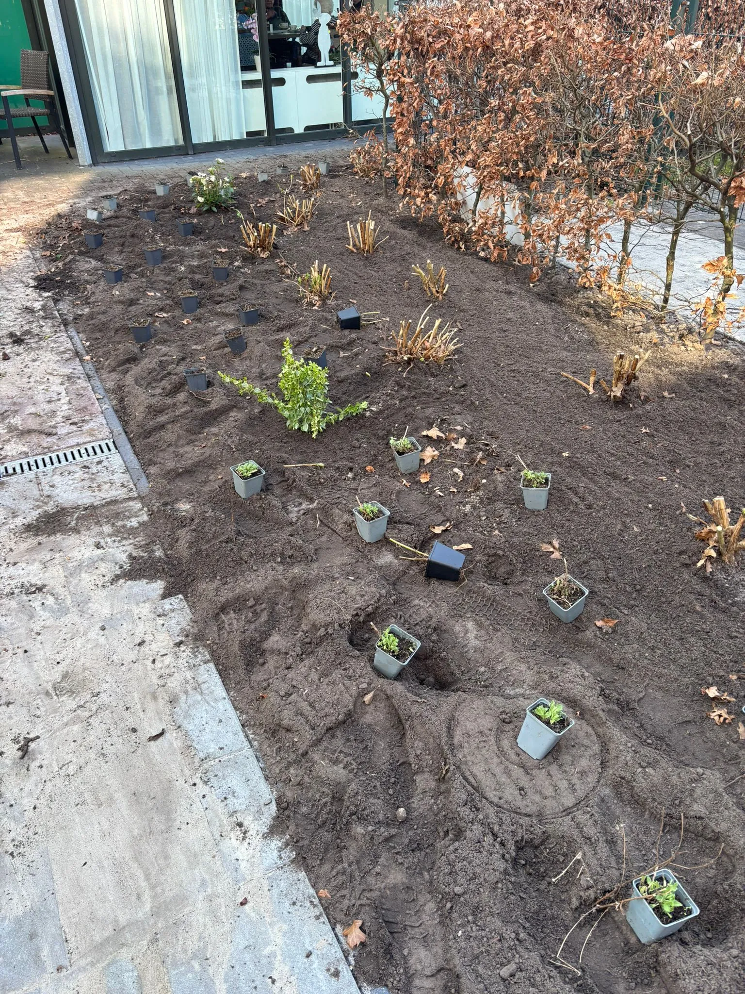 Tuinborder met jonge planten in potjes klaar om geplant te worden, naast een bakstenen gebouw met glazen deuren.