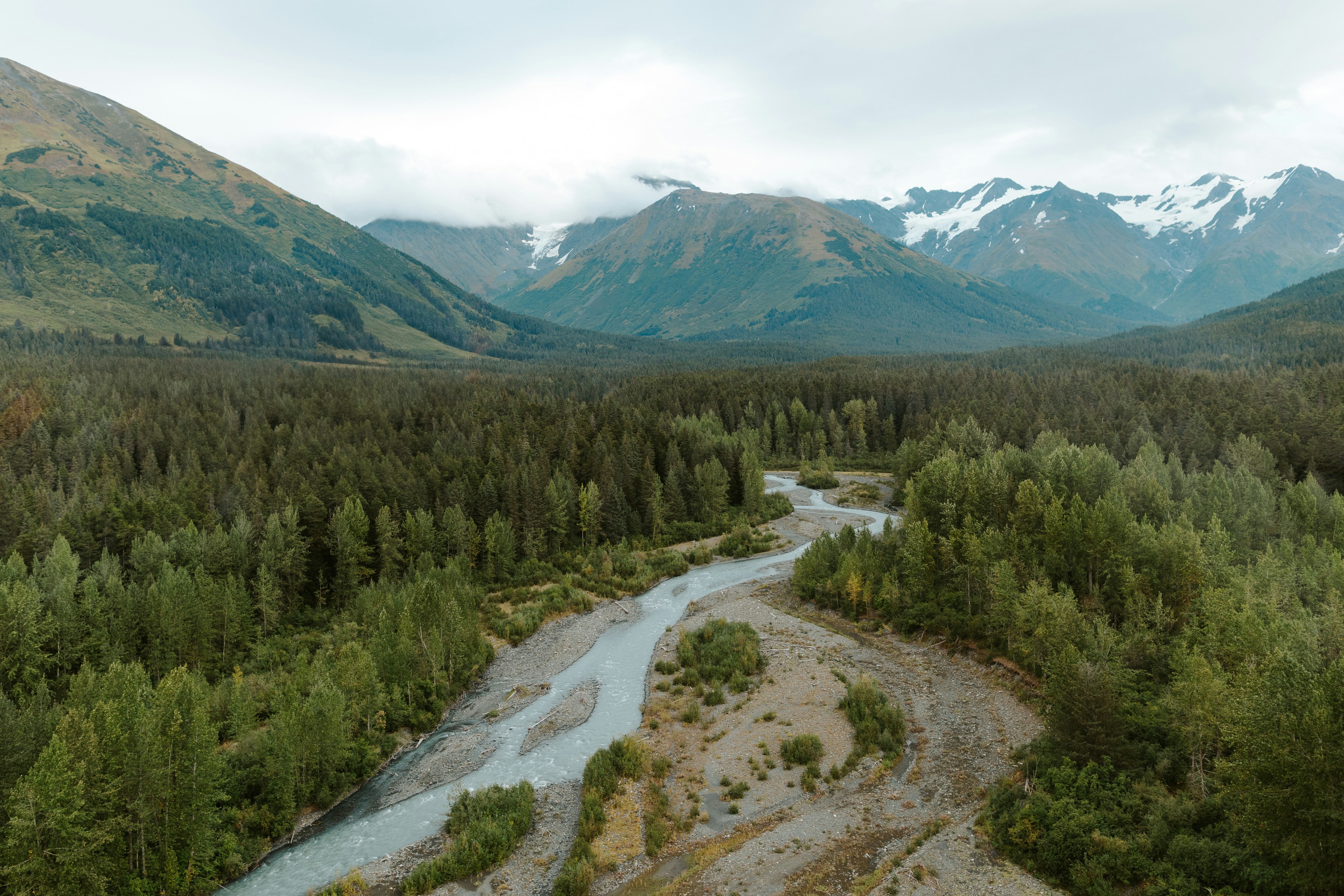 River flowing through a dense forest towards mountains.