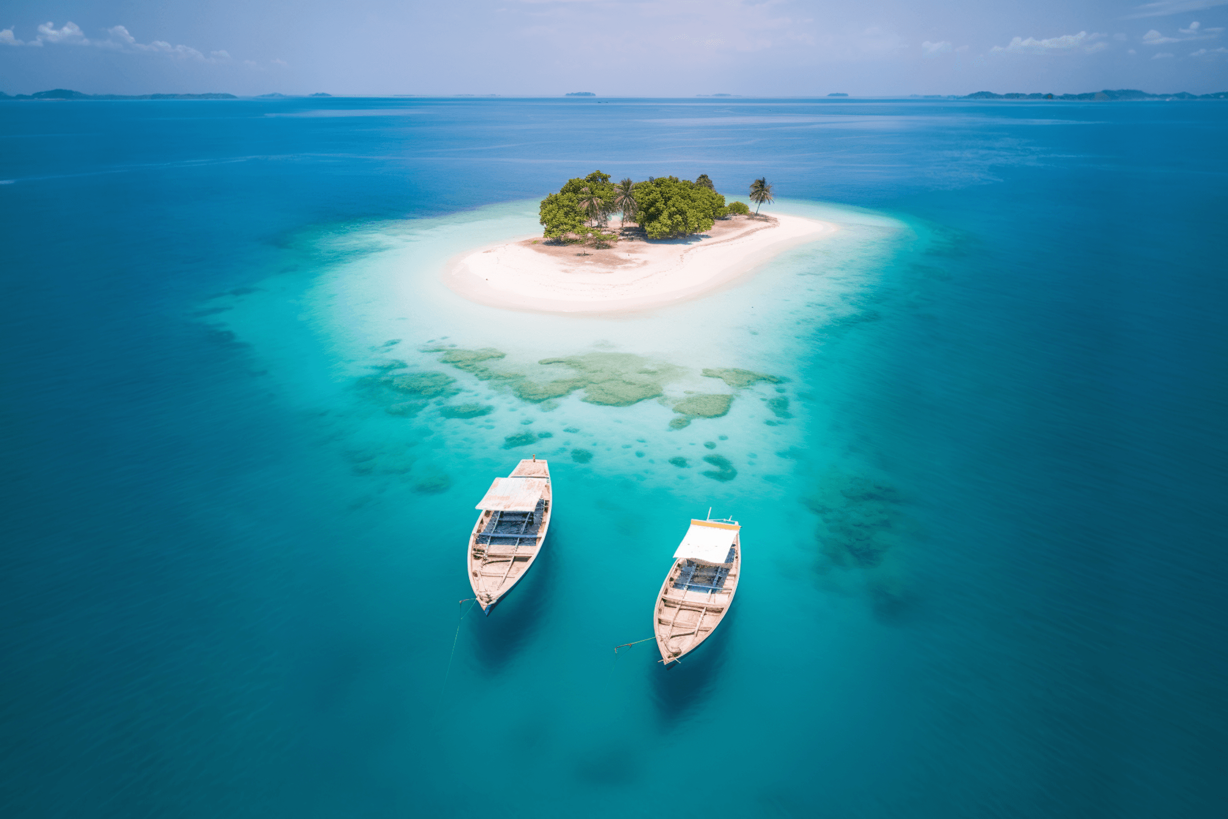 Pure Paradise, Perfectly Curated