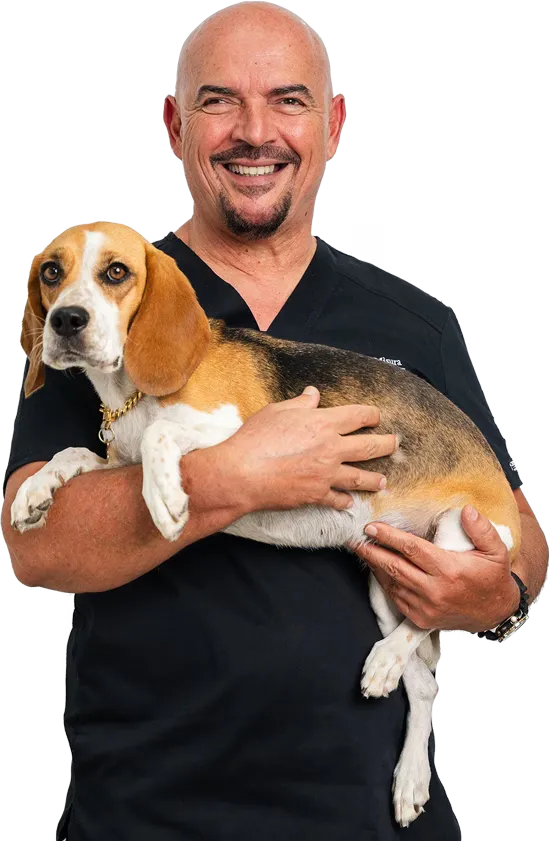 Dr. Nenad Misura: Veterinary Surgeon