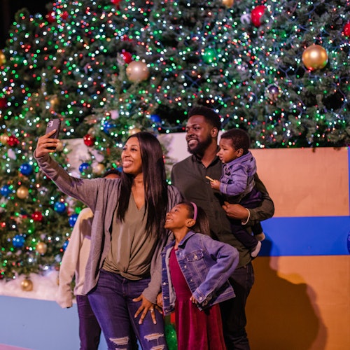 坦帕动物园：野生圣诞节门票信息