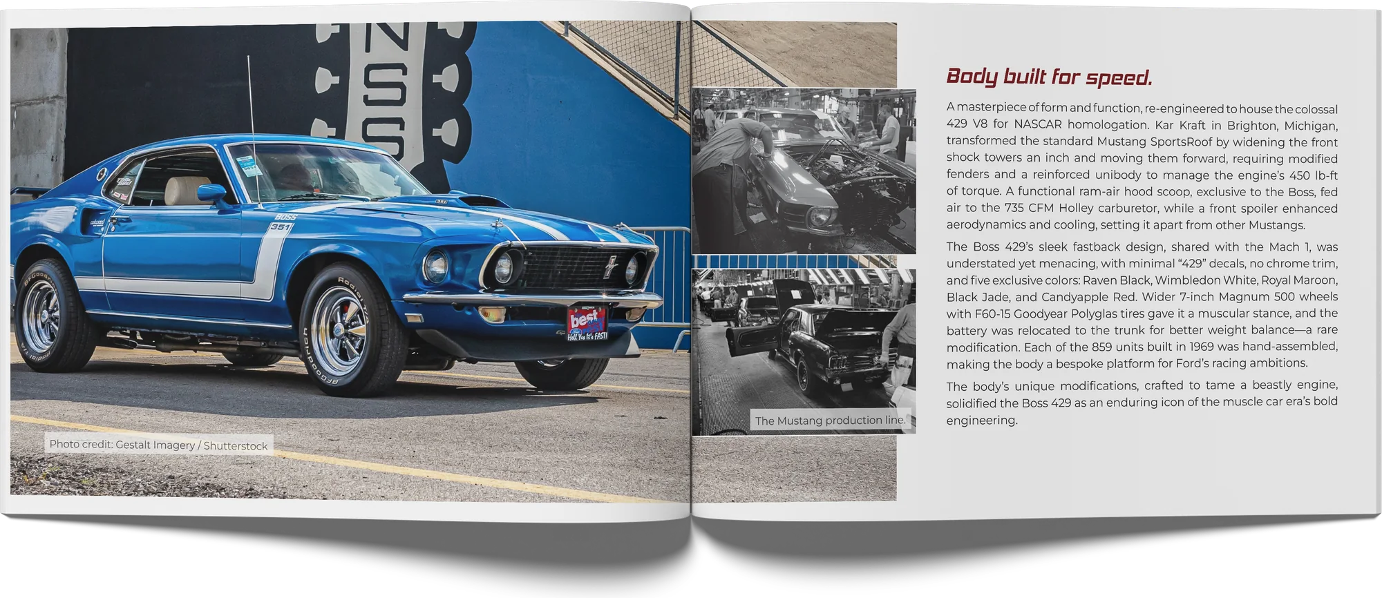 Spread: body built for speed