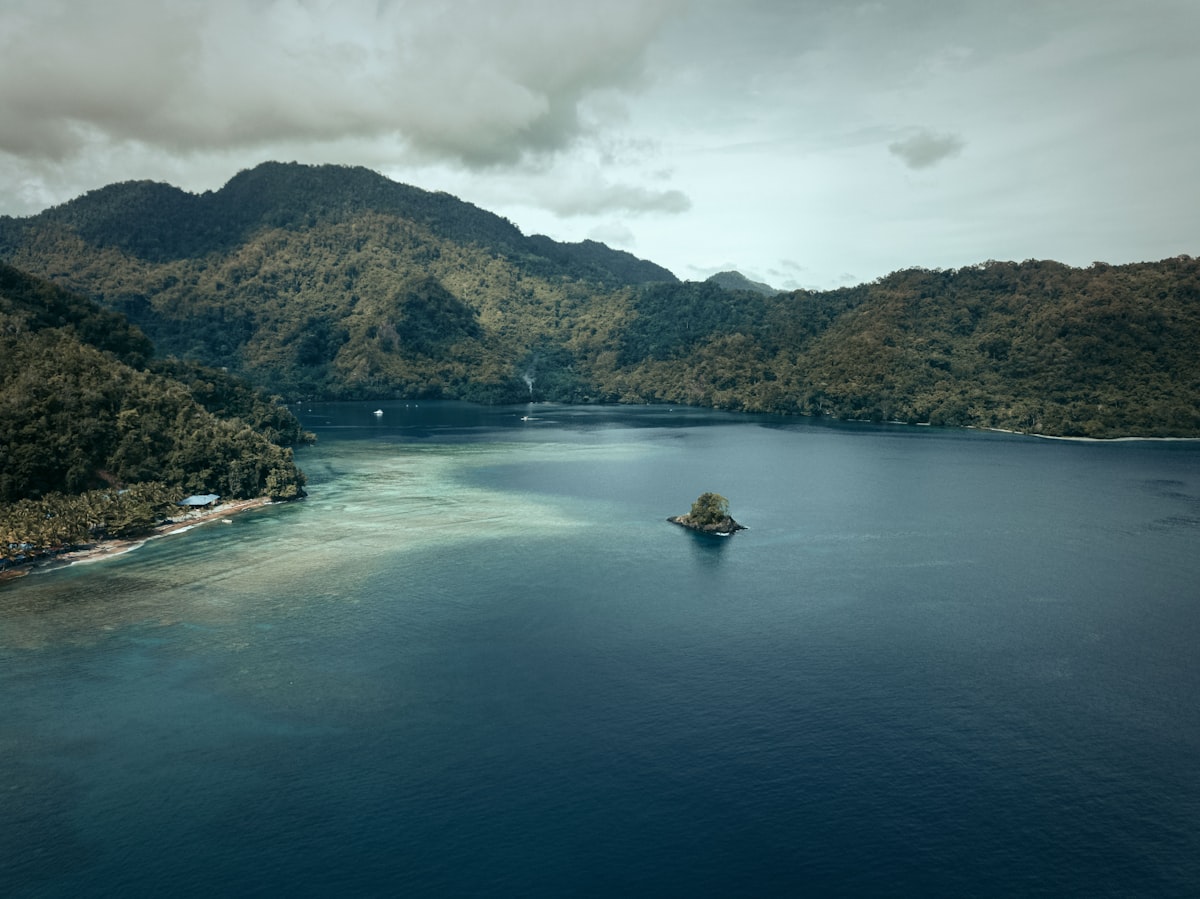 Aerial view of a forested bay and small islet on Indonesia's remote Papua coastline