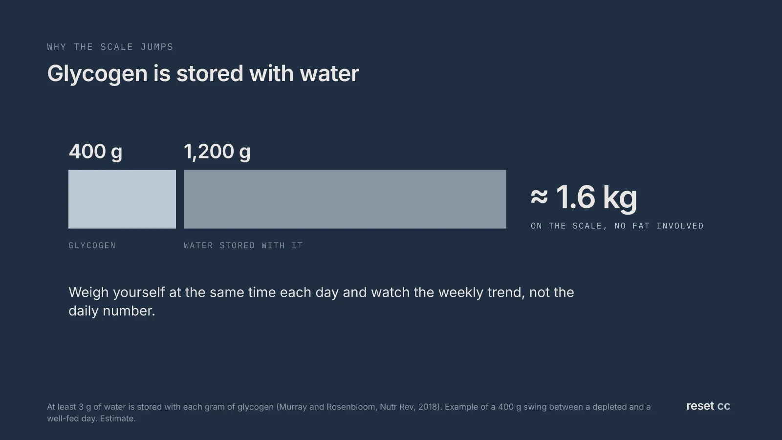 Why the scale jumps: a 400 g swing in stored glycogen carries about 1.2 kg of water with it, so body weight can move about 1.6 kg in a day without any change in fat