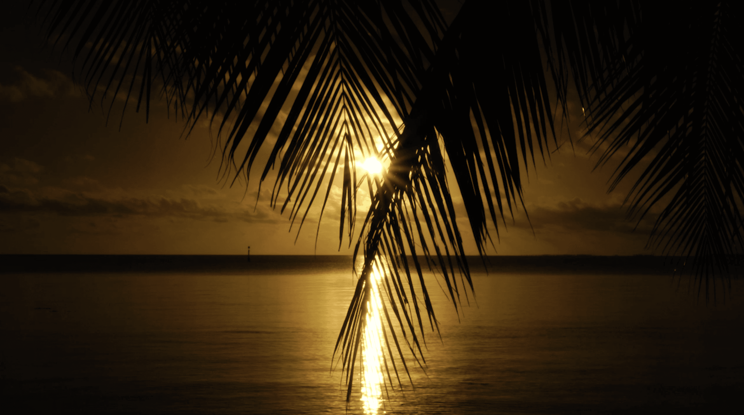 Service Photo Real Mehedi Free Framer Template Photography