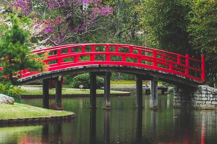 We Rock the Spectrum – Triad, North Carolina