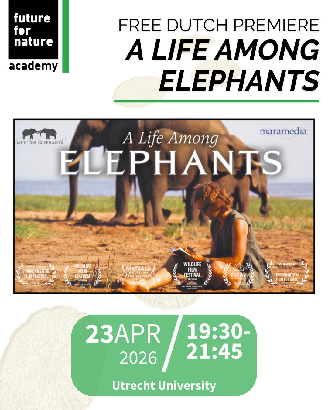 Descriptive Poster about the Mushroom Marvels Event.