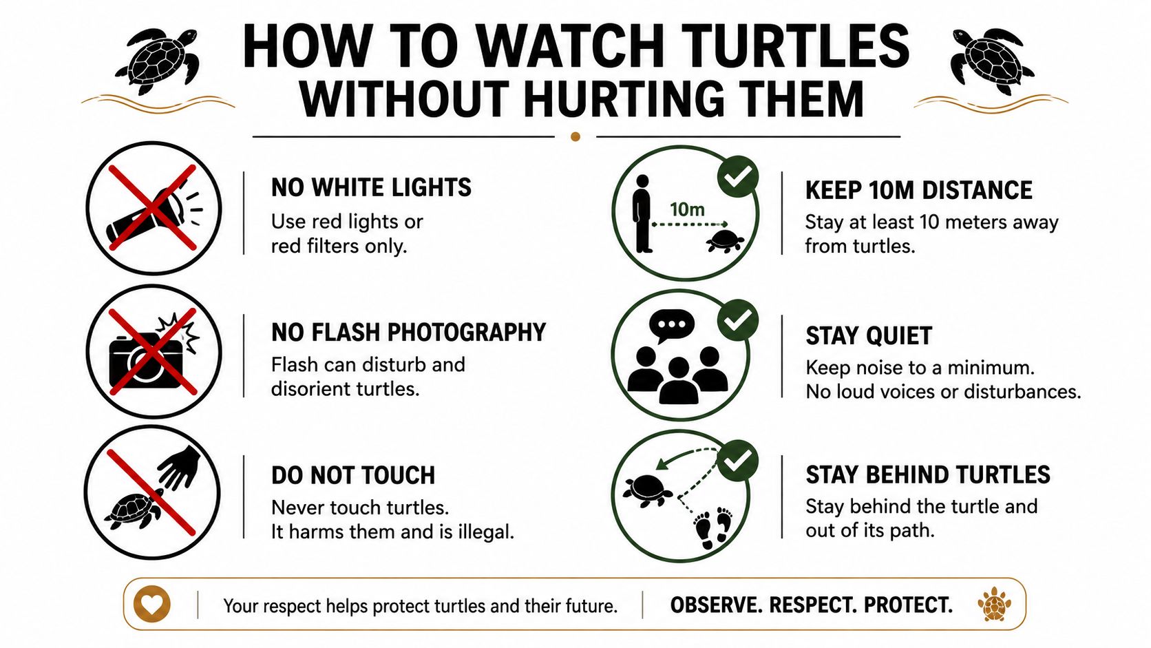 An infographic titled How to Watch Turtles Without Hurting Them showing six guidelines for responsible turtle viewing.