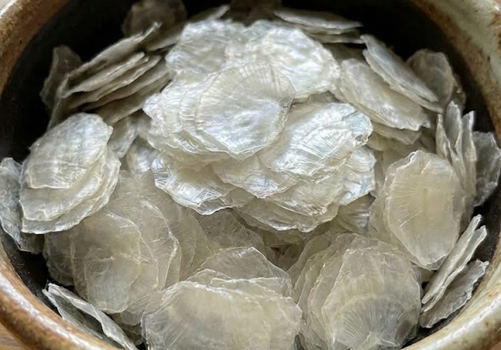 Fish Collagen | Nizona Marine Products