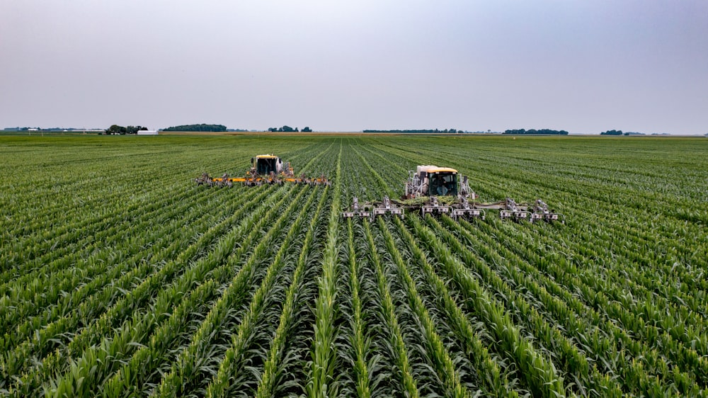 A wide aerial view of two large agricultural machines working in parallel rows of a green crop field under an overcast sky.
