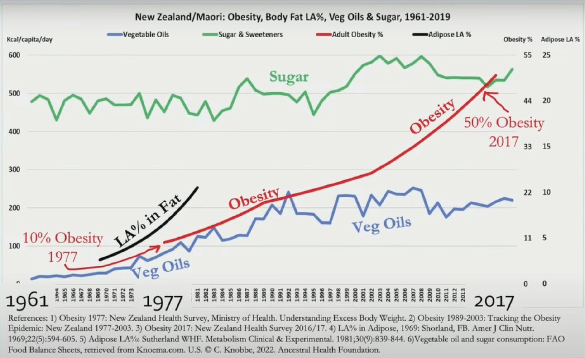 New Zealand Obesity and Vegetable Oils