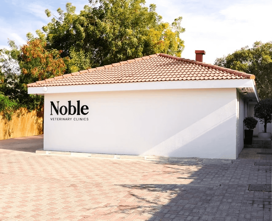 The front of Noble Veterinary Clinic in Jumeirah., Dubai. Our vet clinic features white walls with brick-like roofing and is surrounded by trees.
