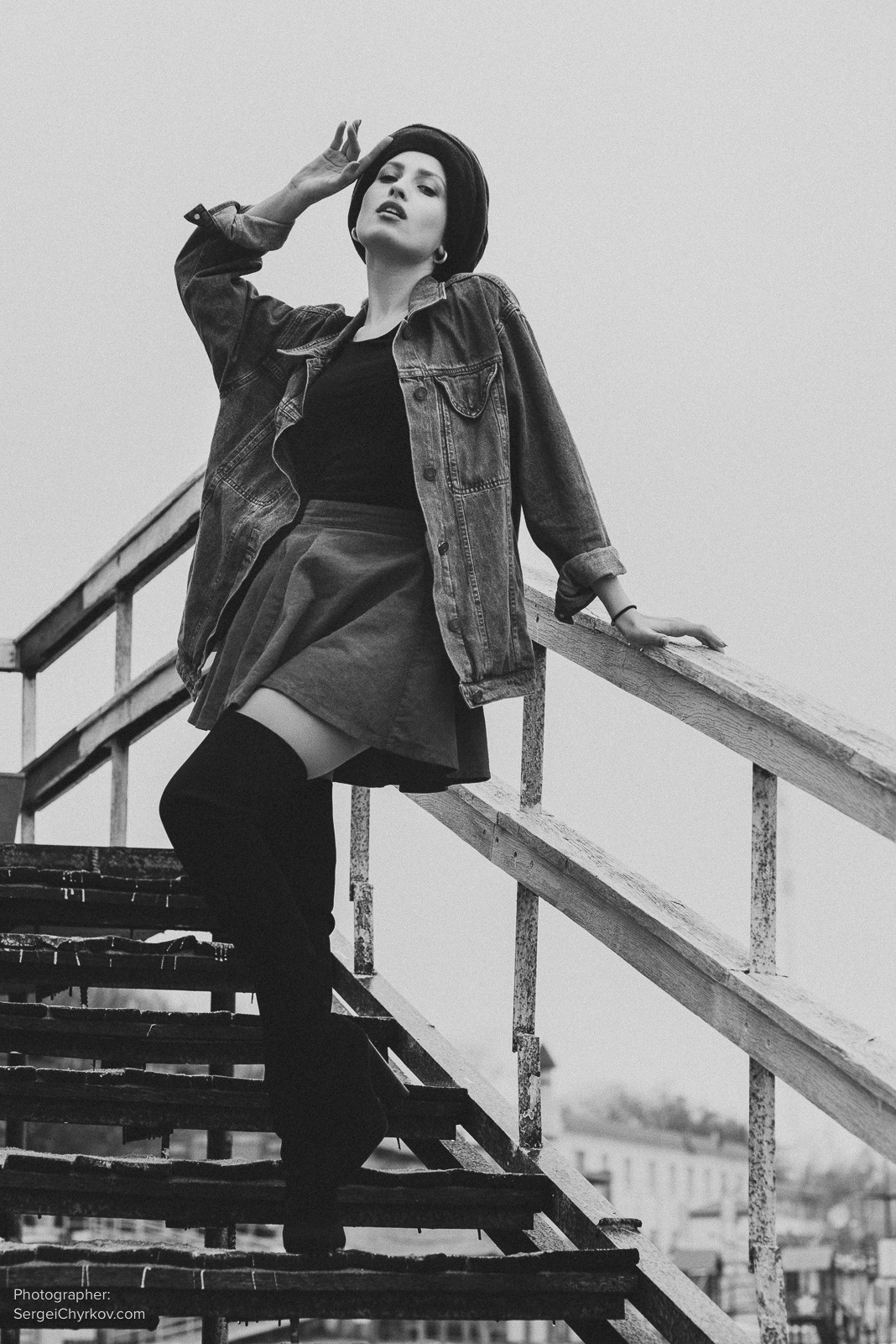 Seagulls by Sergei Chyrkov