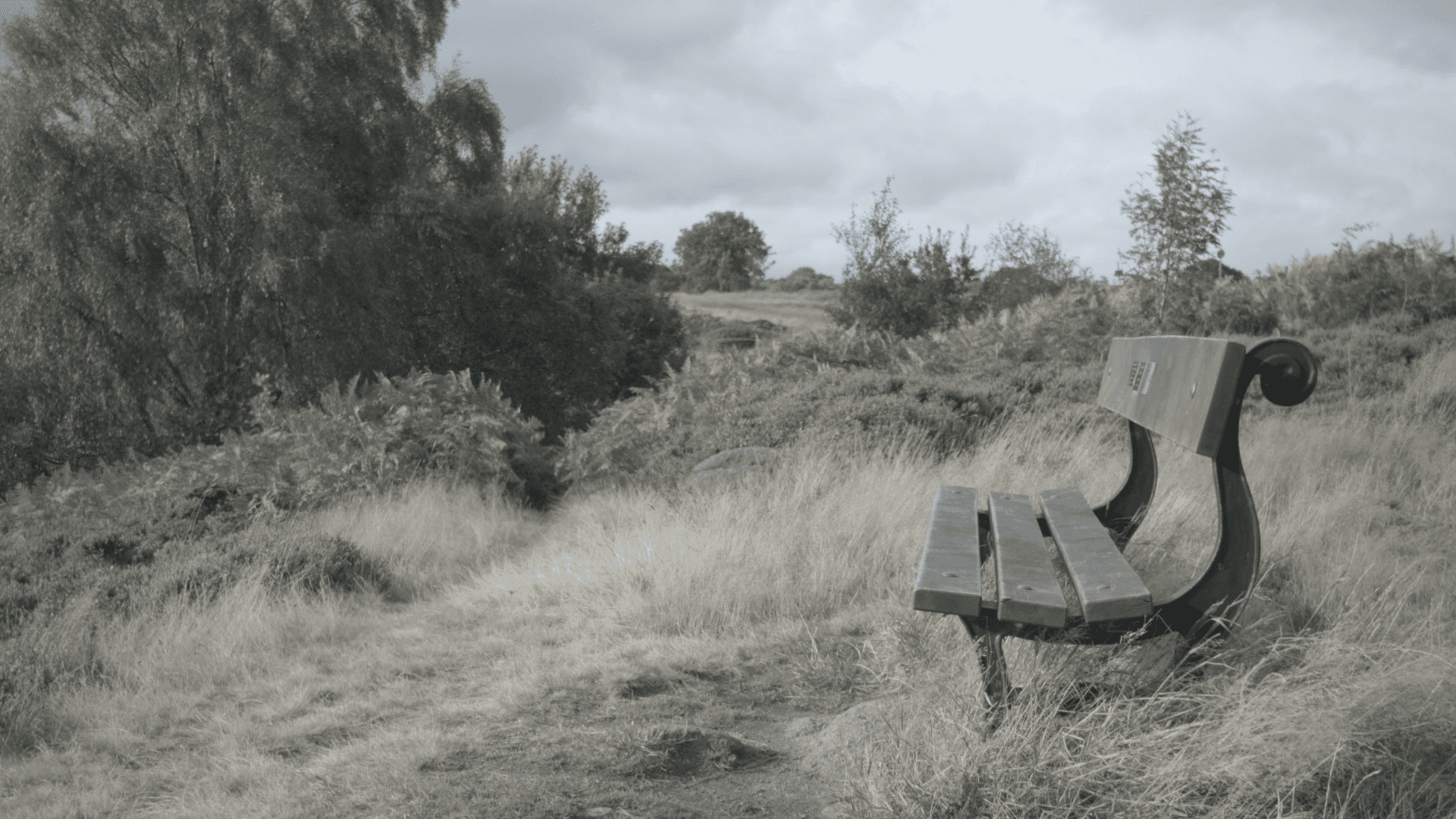 ungraded reference