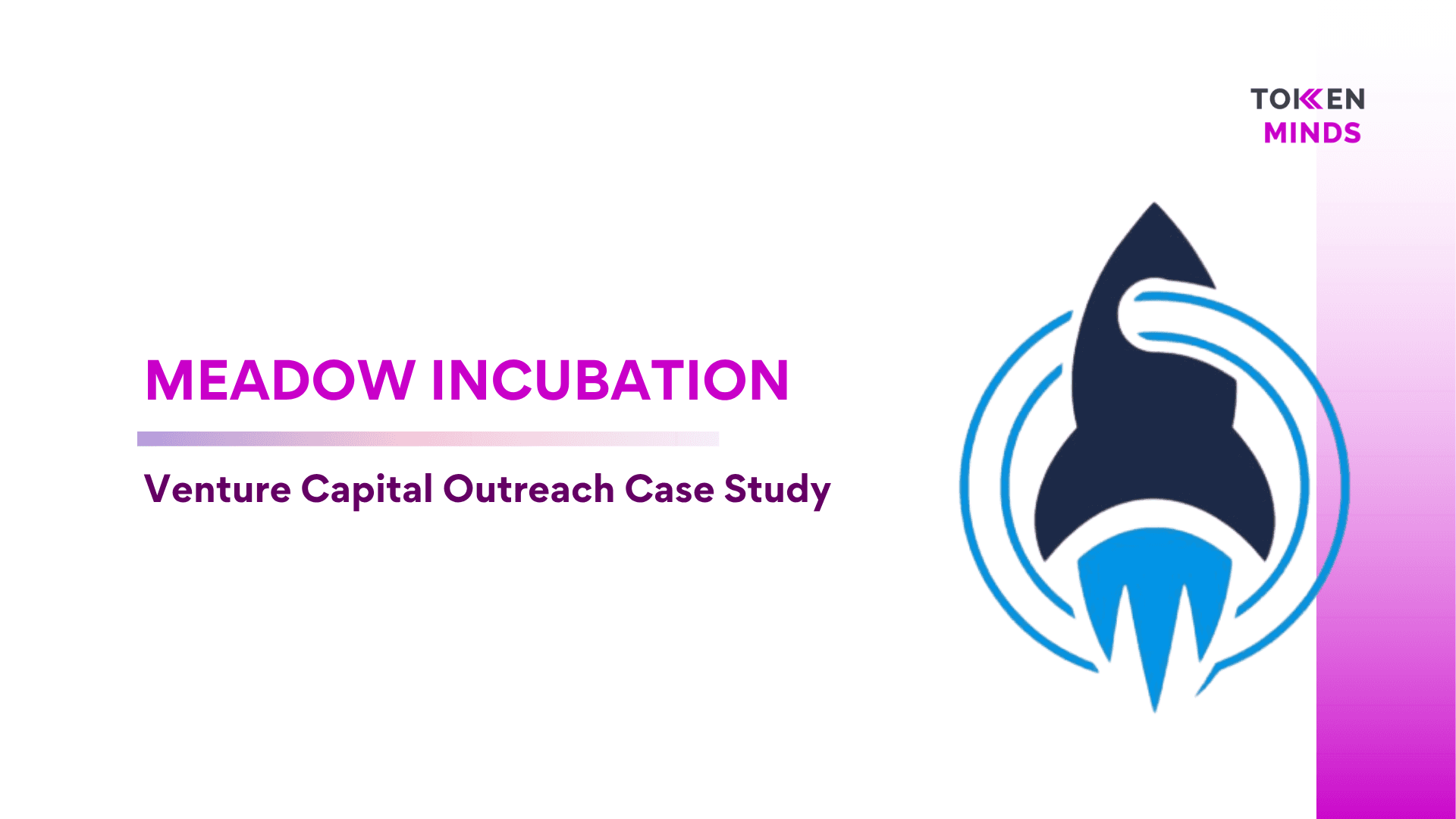 Crypto influencer marketing case study