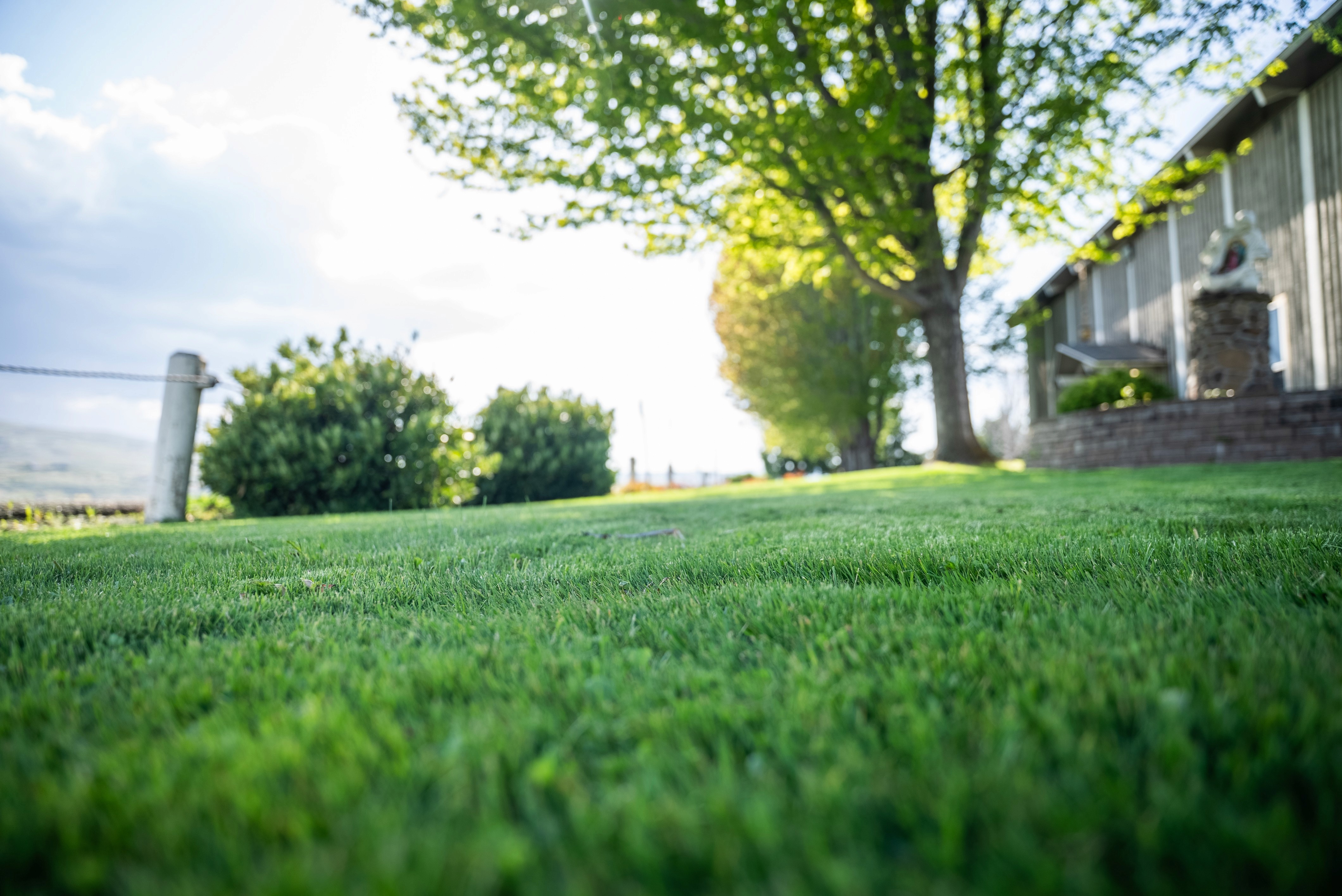 Dynamic picture of a cyclist riding downhill