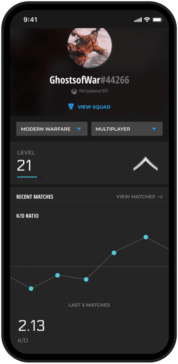 Player profile