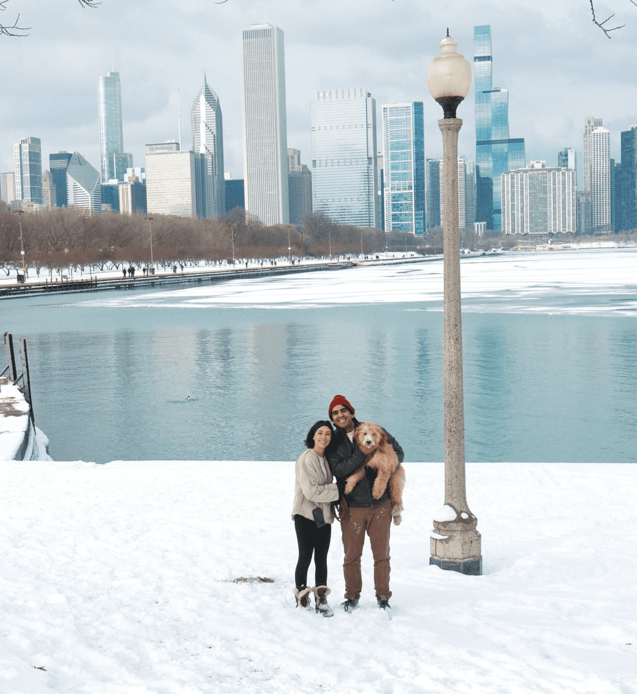 An image of Freelio's project ui