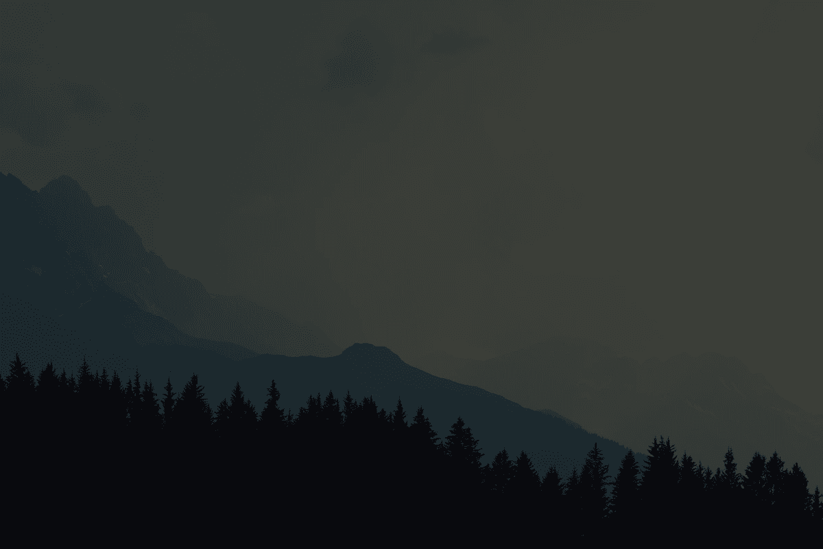 forest landscape image