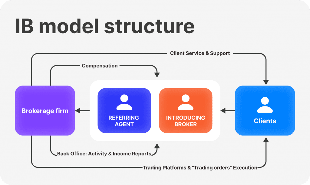 IB model structure