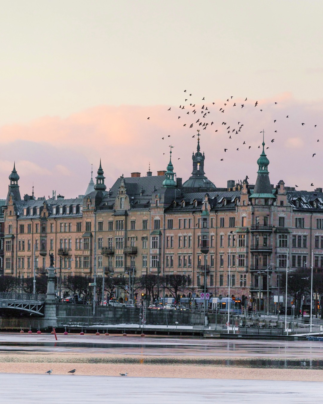 Building in Stockholm with sunrise colored sky and a flock of birds flying above
