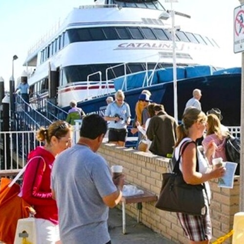 Catalina Island with Undersea Sub Adventure