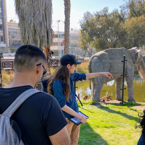 Two people observe an elephant behind a fence in a zoo setting, with palm trees and buildings in the background.