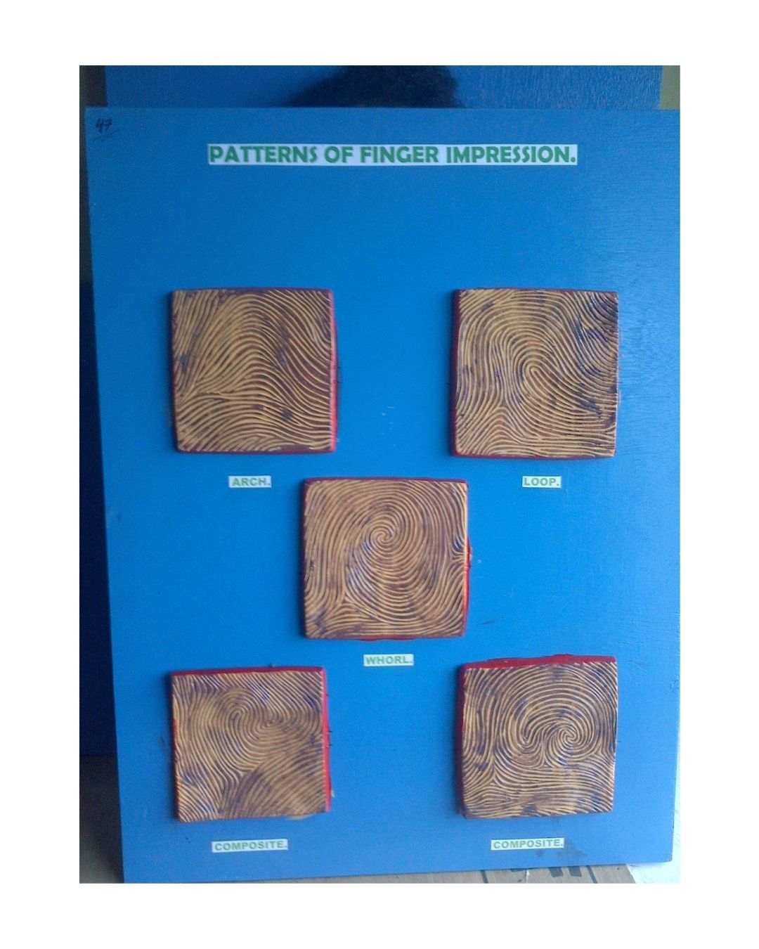 Patterns of Finger Impression