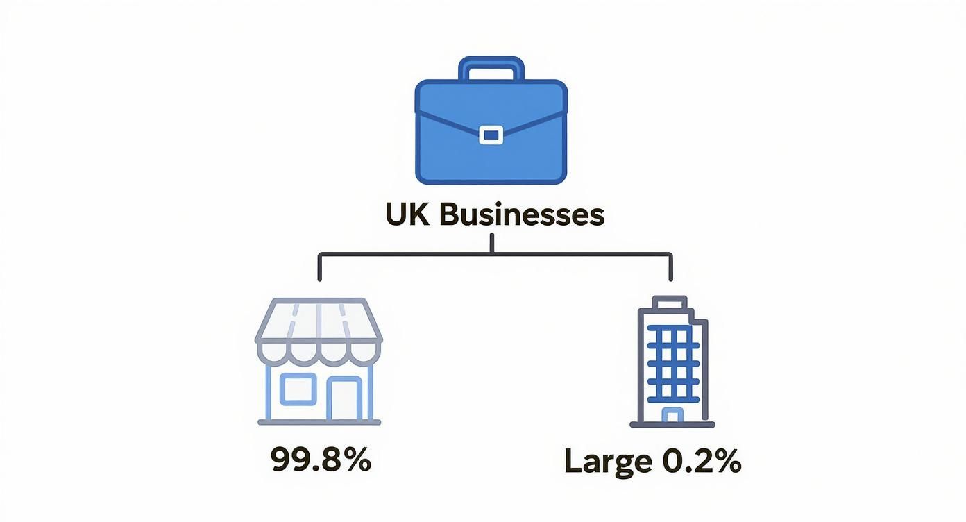 Infographic showing that small and medium-sized enterprises (SMEs) make up 99.8% of UK businesses, while large businesses are only 0.2%.