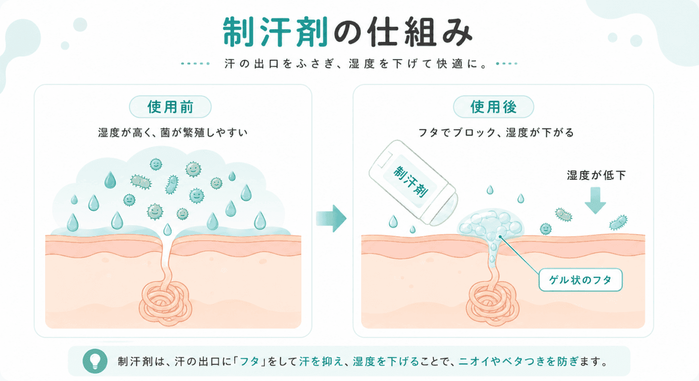 図1. 制汗剤が汗腺にフタをして発汗を抑え、湿度低下とともに菌の増殖を抑える仕組みを示した図