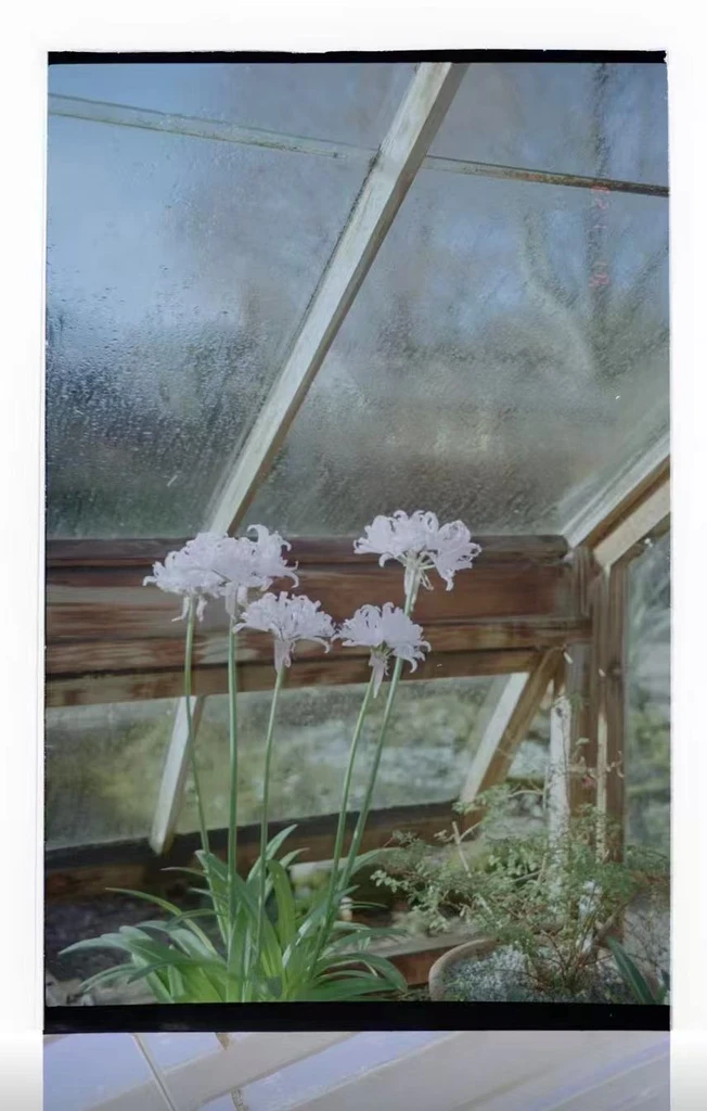 The image featured in the middle of the about us page