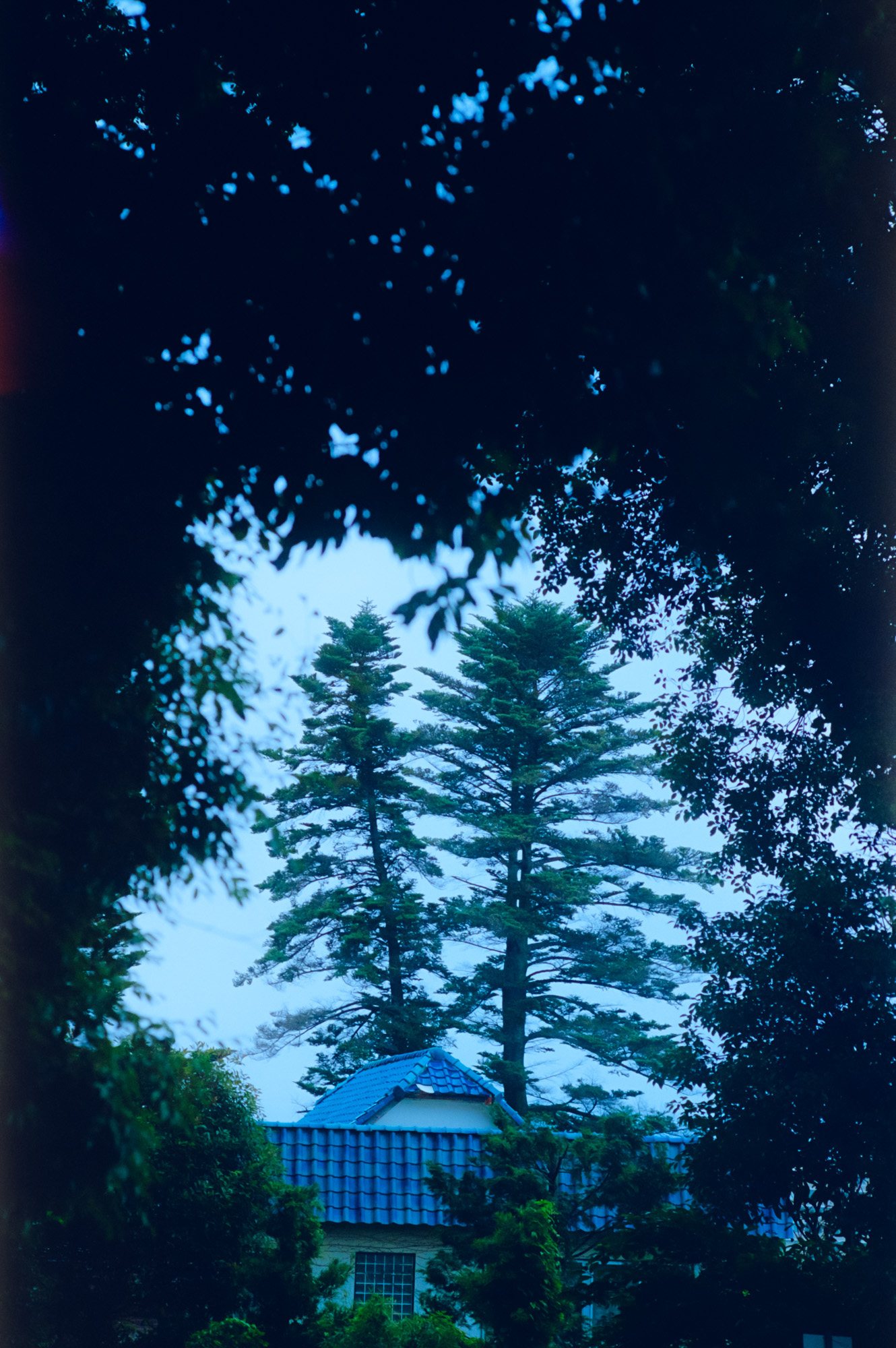 Taisei Matsumoto, archive random photograph 053
