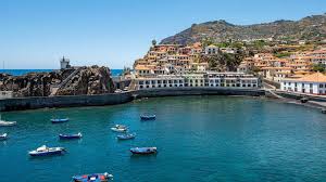 Camara de lobos EazyAL