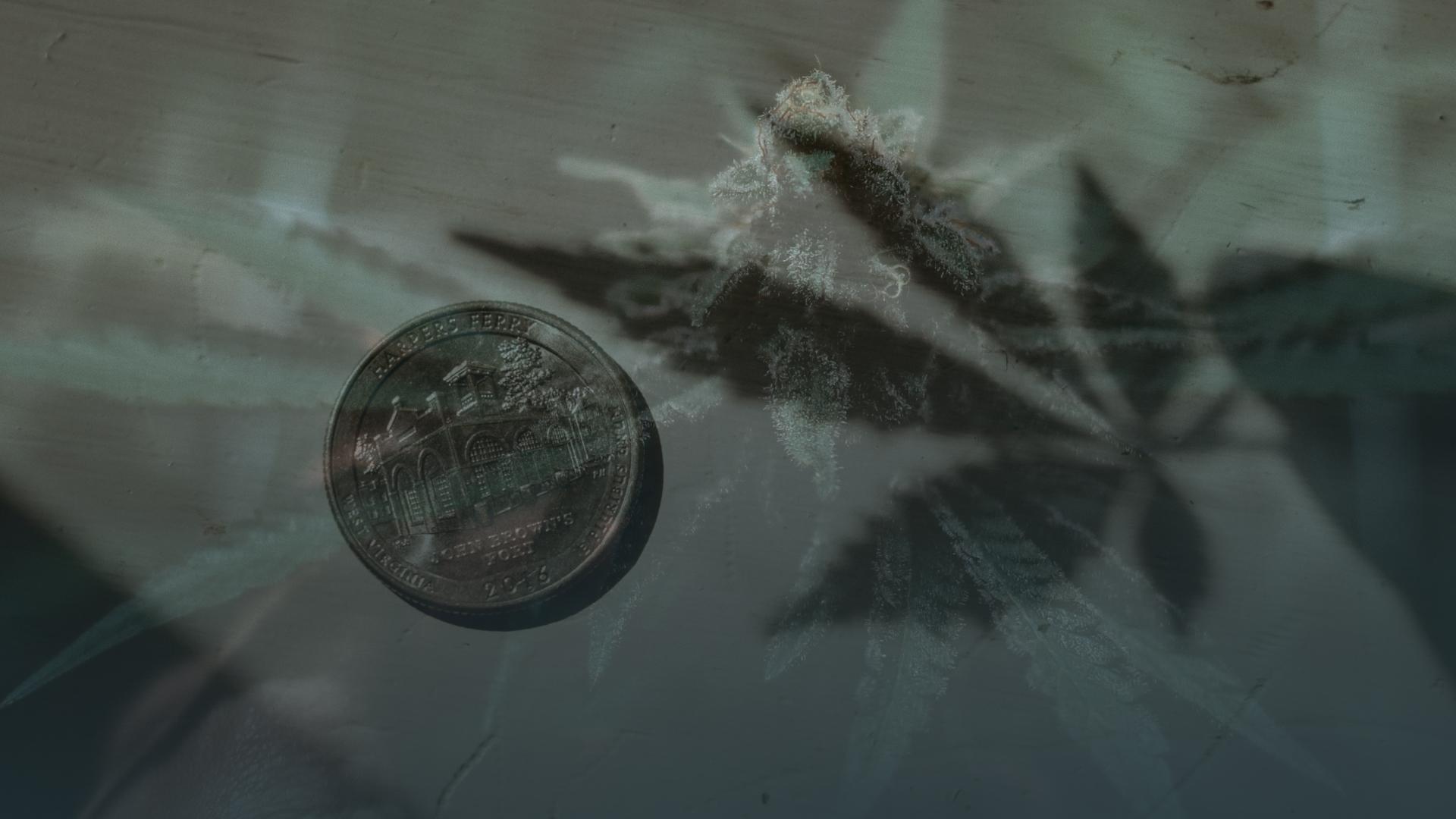 a penny sitting on top of a wooden table cannabis leaves overlay