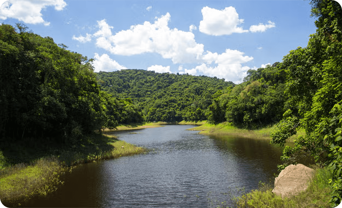 Senderismo en Serra da Cantareira
